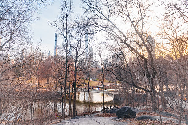 This is a landscape photograph of Central Park’s Bow Bridge crossing the Lake seen from a high angle view through bare trees in New York City on a cold, spring day.