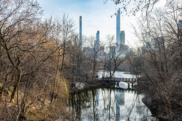 This is a landscape photograph of Central Park’s Lake seen from a high angle view through bare trees in New York City on a cold, spring day.