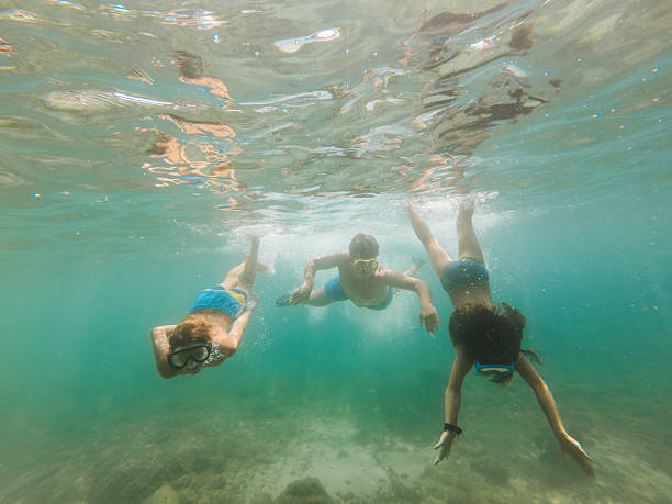 istock Sun, Sea, and Snorkel Fun 2209067139