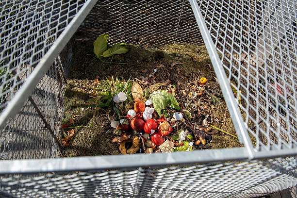Compost bin with organic waste under sunlight in a backyard garden setting. stock photo