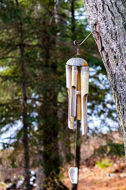 istock Rustic Wooden Wind Chime Hanging on a Tree in a Forest Setting 2209074537