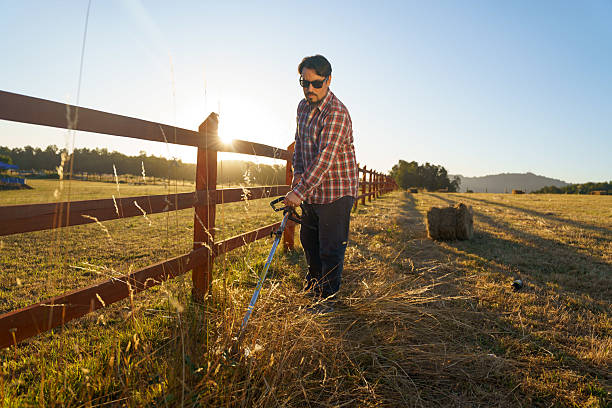 istock Latin american farmer cutting grass with brush cutter at sunset 2209077139