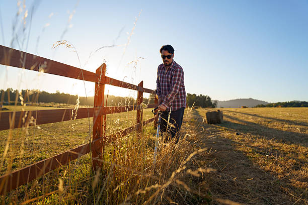 istock Latin american farmer cutting grass with brush cutter at sunset 2209077146