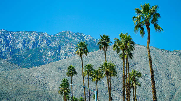 istock Scenic view of desert, palm trees and mountains 2209080026