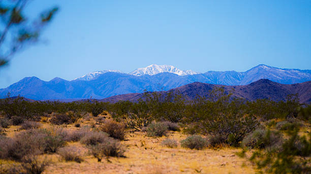 istock Scenic view of desert, cacti and mountains 2209080076