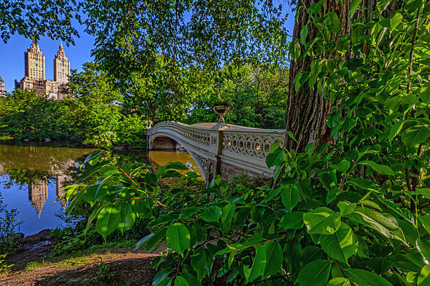 istock Bow bridge in summer, early morning 2209080405