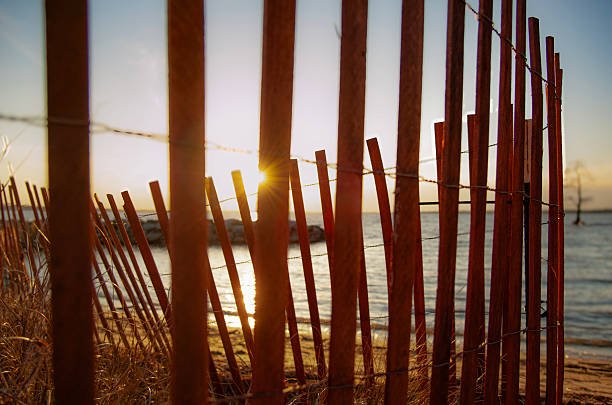 istock Beach Fence during the Golden Hour 2209080540