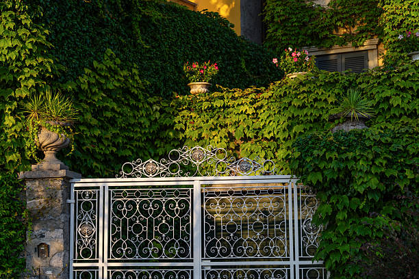 Decorative metal gate surrounded by lush ivy and greenery, illuminated by the soft evening light. Stone planters with plants add charming touch to the scene