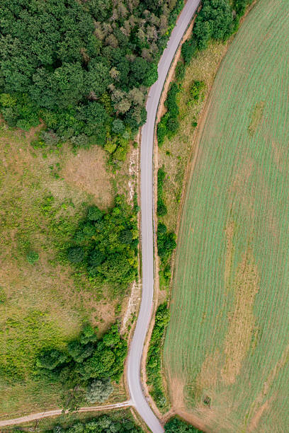 istock Curving rural road between forest and cultivated field 2209082782