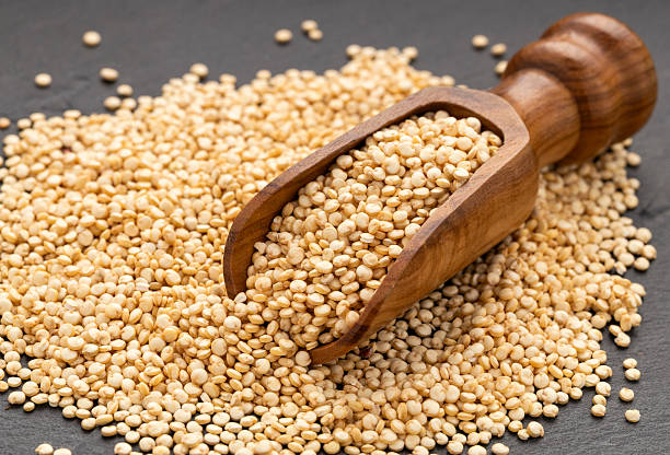 istock Chenopodium quinoa - Organic white quinoa seeds 2209083695