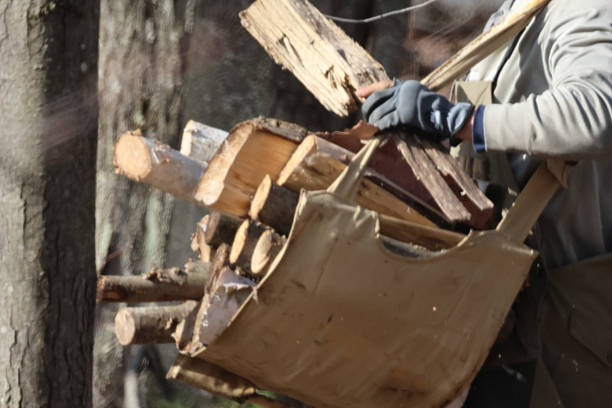 lifestyle shot of senior man in the garden cutting logs and working in autumn day.