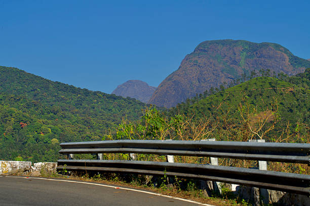 View of the beautiful tea plantation of Valparai, India during summer.