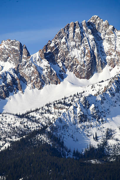 istock Springtime in the Sawtooth Mountains in Stanley, Idaho 2209087807