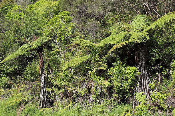 istock Neuseeland Landschaft / New Zealand Landscape 2209088747
