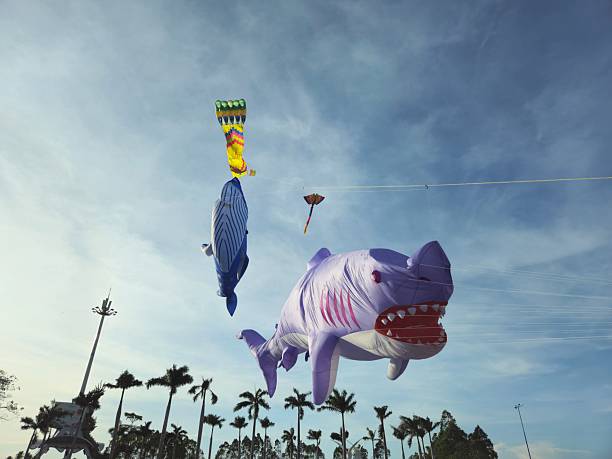 Can Tho, Vietnam - March 7, 2025: A giant inflatable shark kite with an open mouth and sharp teeth is soaring in the sky at a kite festival, surrounded by other colorful kites.