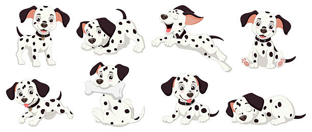 acht dalmatinerwelpen in verschiedenen posen, perfekt für haustierdesigns, kindermaterialien oder hundethemenprojekte, die mehrere bilder erfordern. - fell stock-grafiken, -clipart, -cartoons und -symbole