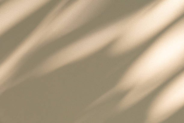 istock Studio style background wall decoration presentation uses white and beige tones. with shadows cast from a nearby window, concept creating a decorative 2209103975
