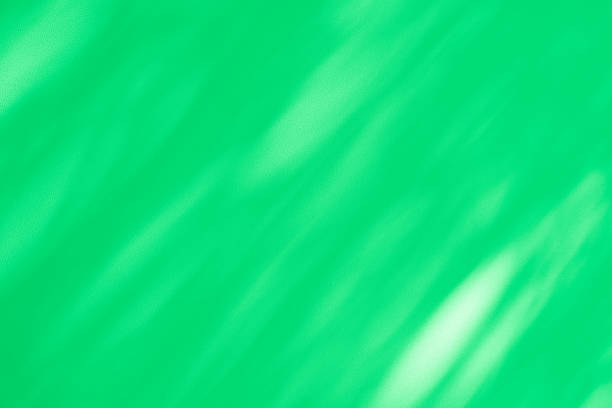 Studio style background wall decoration presentation uses white and green tones. with shadows cast from a nearby window, concept creating a decorative