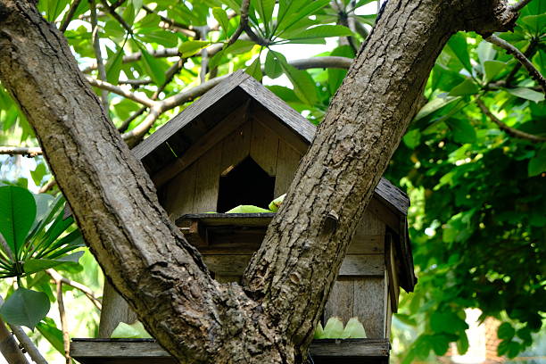 wooden bird house on a tree.