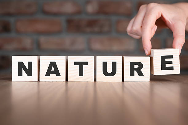 istock Nature word with wooden blocks on table 2209112374