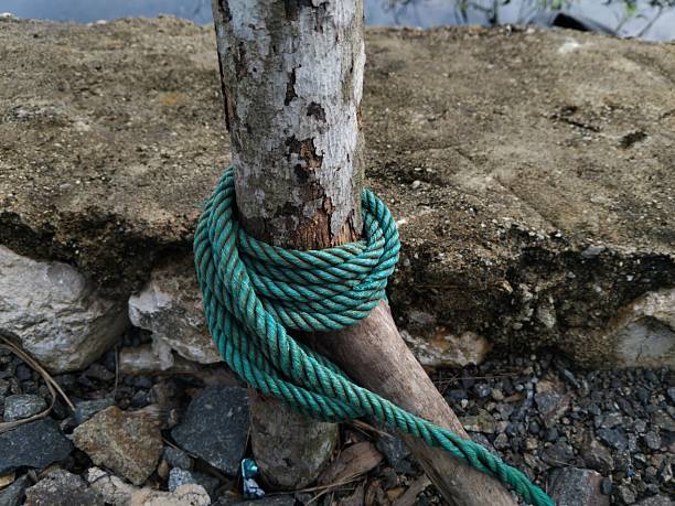 Rope knot on wooden pole
