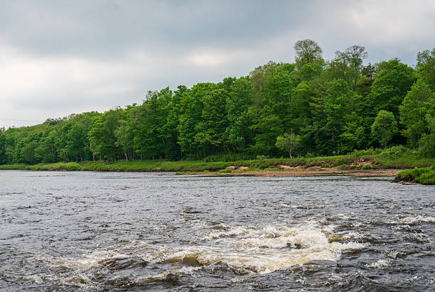 istock Flowing River at the Adirondack Park 2209117958