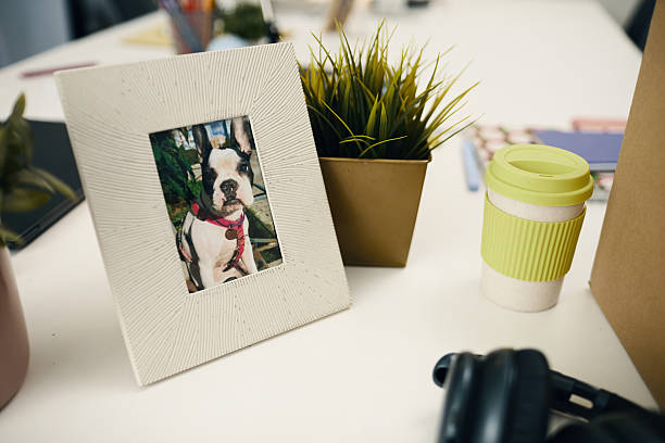 istock Photo Of Pet On Workplace In Office 2209118024