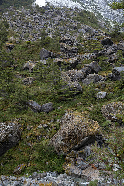 istock Rocks in Patagonia Chile 23 Dec 2015-4 2209118272