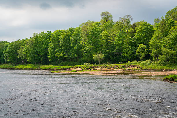 istock Flowing River at the Adirondack Park 2209118370