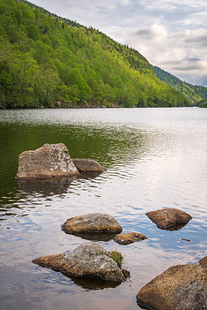 istock Rocks in the Water at Adirondack Park 2209119229