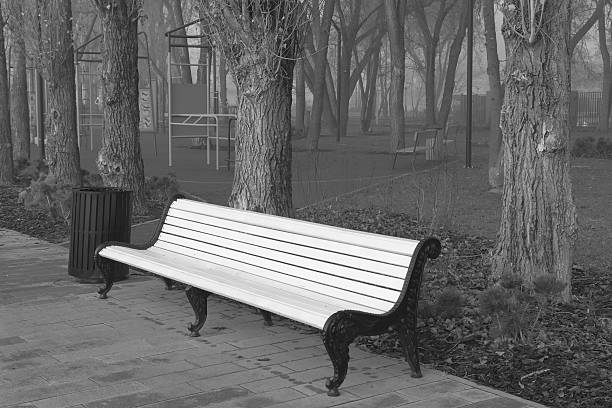 istock White bench in the park. Black and white photo 2209120280