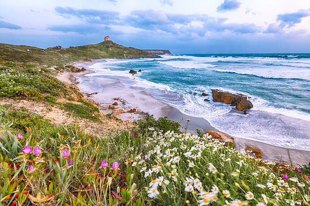 istock Blurred view of  Capo San Marco Lighthouse on Del Sinis peninsula. 2209120337