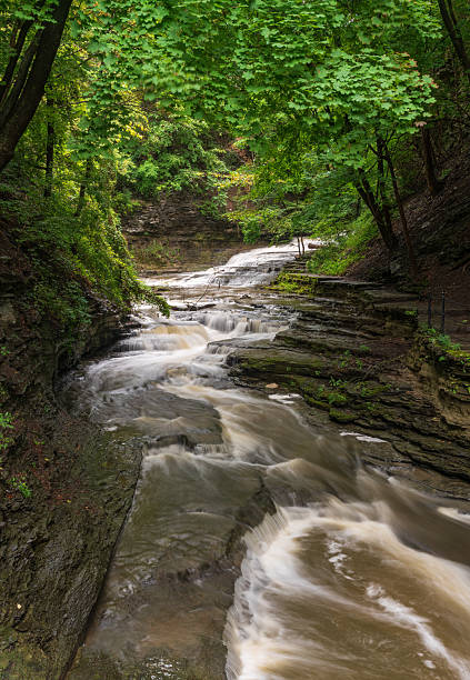istock Ithaca, NY Waterfalls on a Summer Day 2209122731
