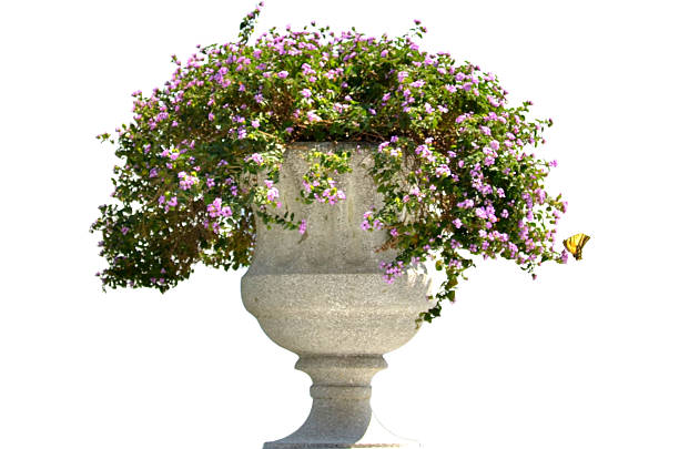 Hanging Flower Pots with fence