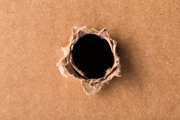 holes in paper bag made by Stegobium paniceum known as bread beetle or biscuit beetle. Pest in houses, stores and warehouses. Beetle on cereals. Drugstore beetle