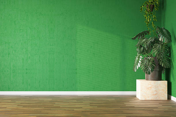istock Indoor Plant Decoration Against Green Wall Background 2209127854