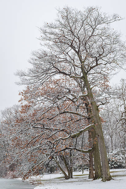 istock Long Point State Park, New York State 2209132267