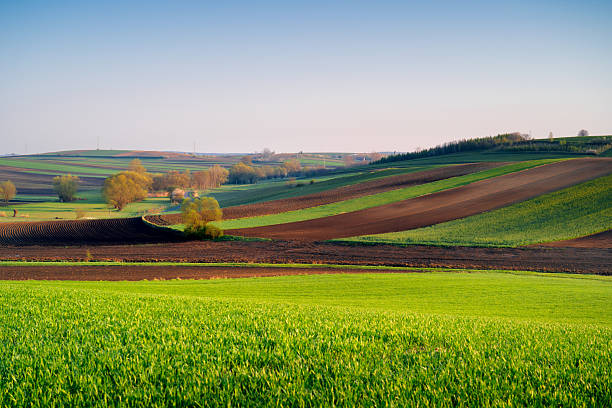 istock View of green fields with trees. Beautiful rural landscape. 2209132671