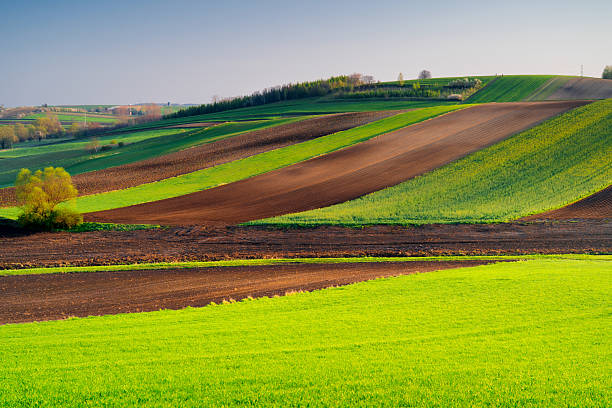 istock Green spring fields in Ponidzie in Poland. Moravia in spring. 2209132675