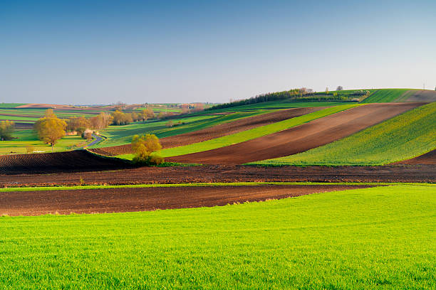 istock Waves on green fields. Spring in Poland, Ponidzie. 2209132951