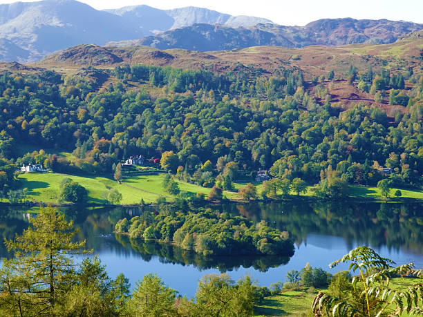 istock Lake forest and mountains 2209136060