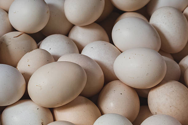 istock Close-up of a free-range chicken egg. 2209136390