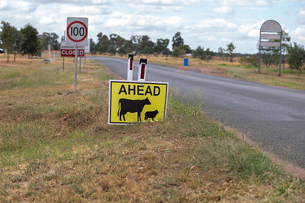 istock rural road signs 2209139005