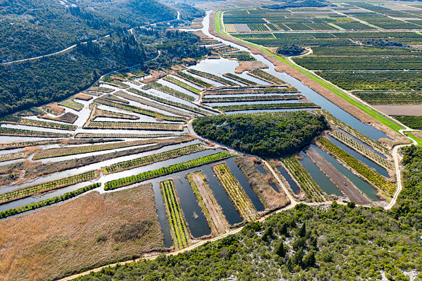 Panoramic view of agricultural fields in the Neretva River Valley, Dalmatia, Croatia