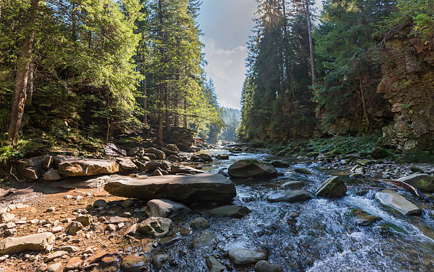 istock Small mountain river with steep rocky banks overgrown with forest 2209150285