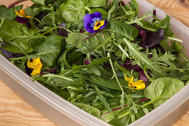 Mixture of the raw different leaf vegetables with edible flowers in the reusable transparent plastic container, fragment close-up in selective focus