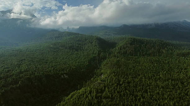 istock High Tatras mountains forest aerial view 2209157804