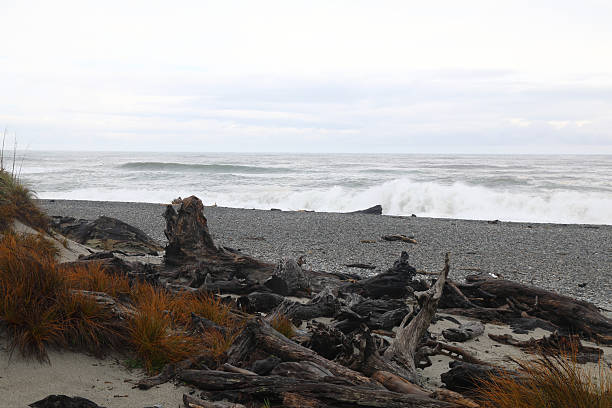 Tasmanische See / Tasman Sea