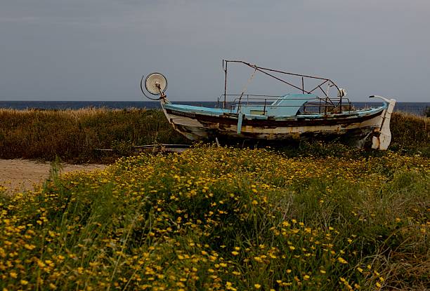 istock Old Boat on a Flower Field by the Sea 2209162061