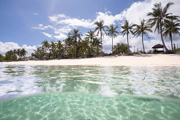 istock Serene tropical beach with palm trees and turquoise water. 2209162427